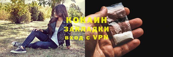 индика Костерёво