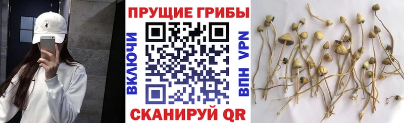 Галлюциногенные грибы Magic Shrooms  Фатеж 